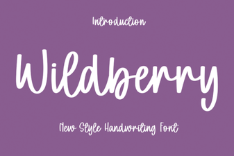 Wildberry Font: a Stylish Display Typeface for Modern Projects