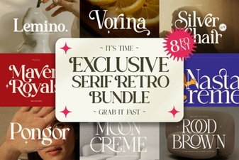 Exclusive Serif Retro Bundle Font Collection
